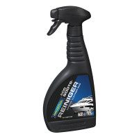Морской очиститель RAVENOL Bootsreiniger Eco